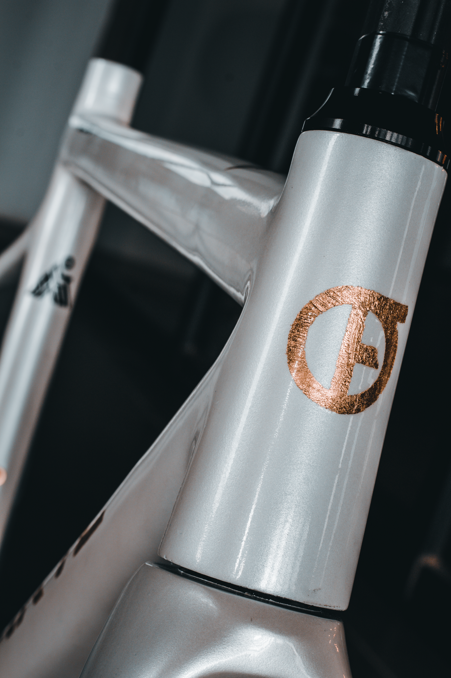F. Carbono - Ruta